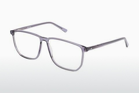 Eyewear Sur Classics Roger (12519 grey)