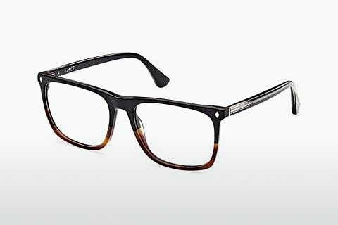 चश्मा Web Eyewear WE5389 056